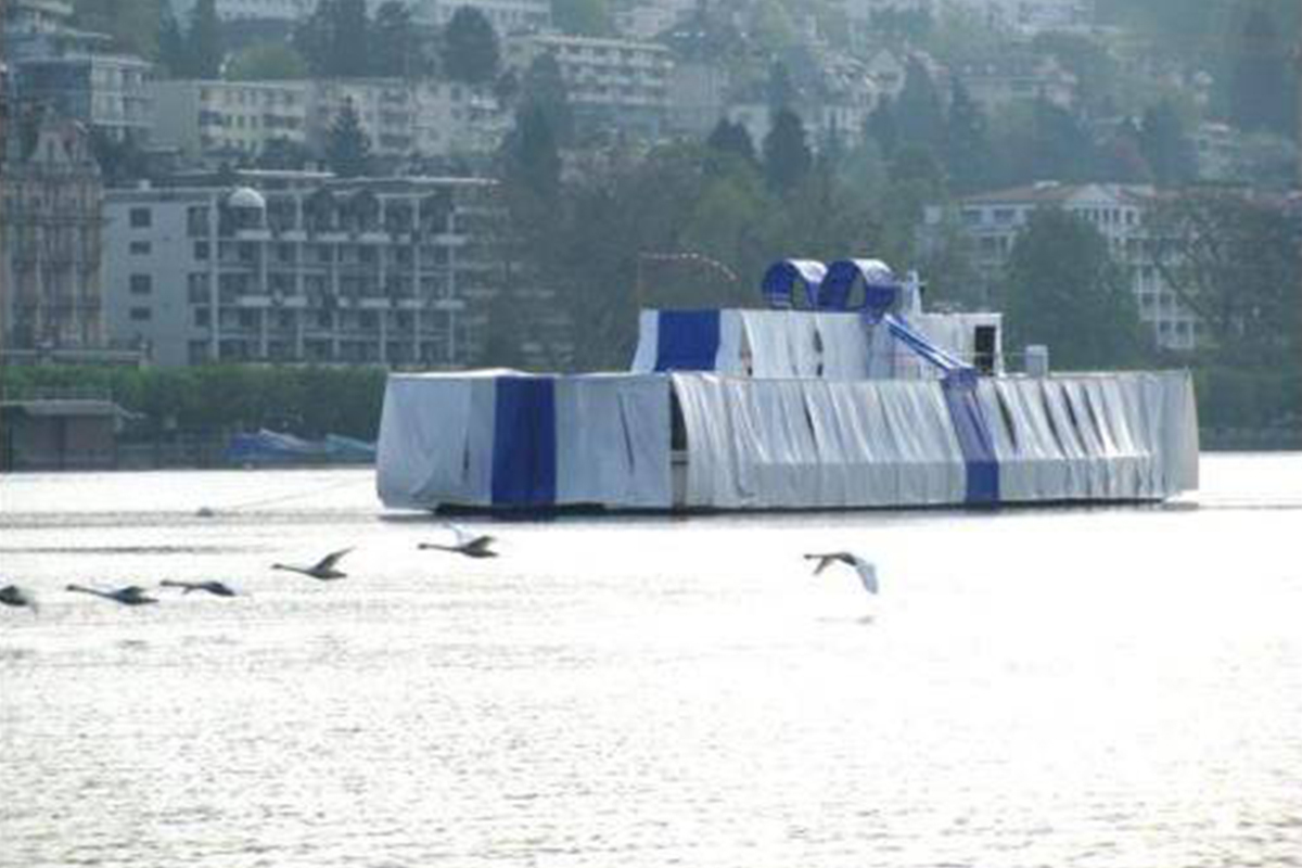 Die Überraschung im Luzerner Seebecken